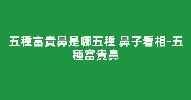 五種富貴鼻是哪五種 鼻子看相-五種富貴鼻